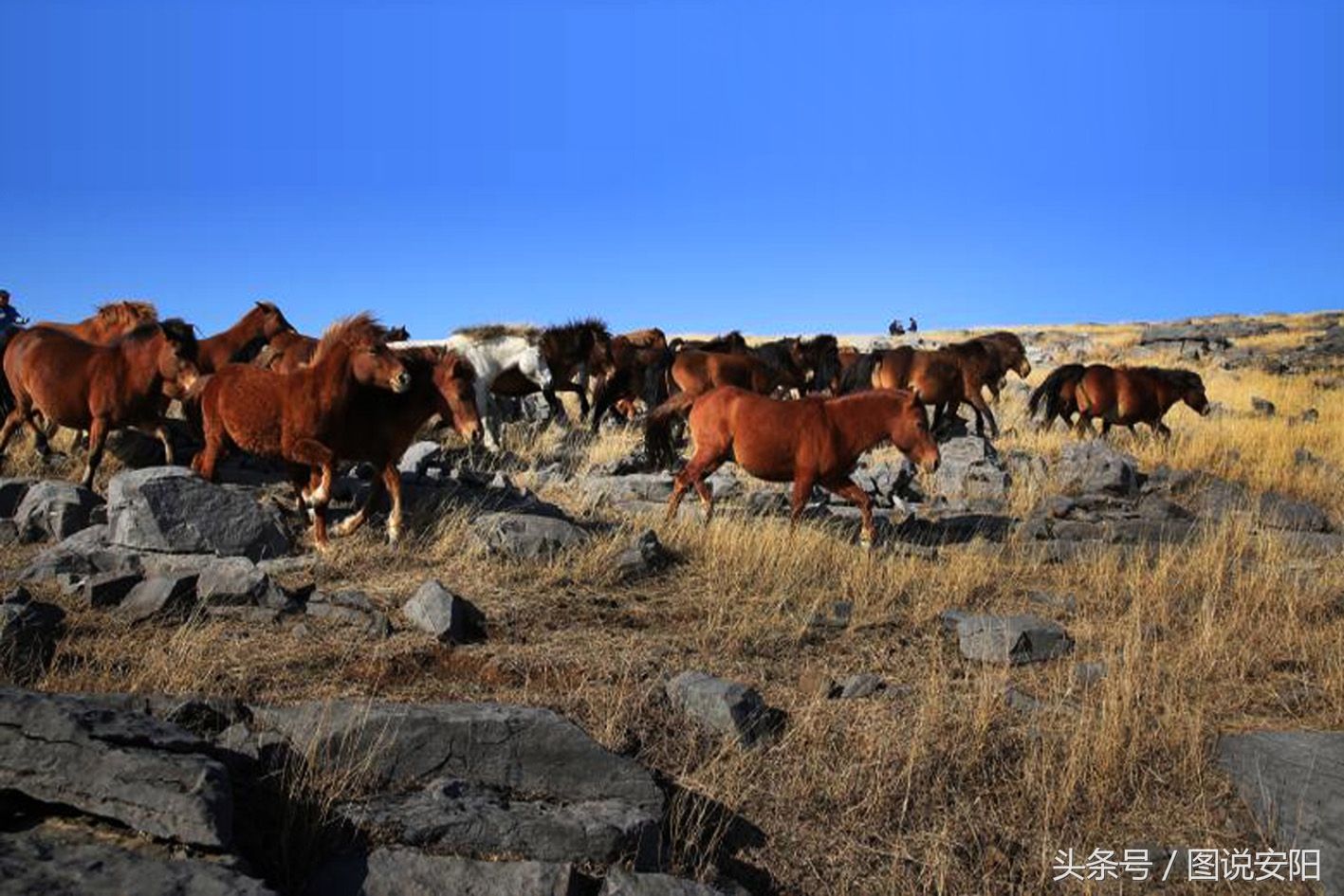 河南淇县:旅游帮扶贫困户 书记成了“店小二”