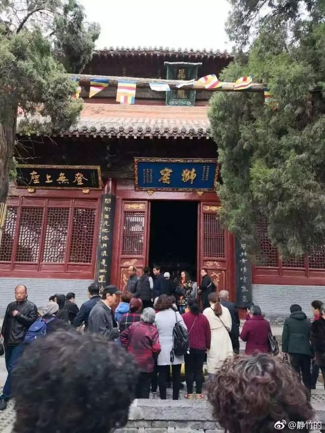 牡丹文化节期间,你被他们暖到了吗?