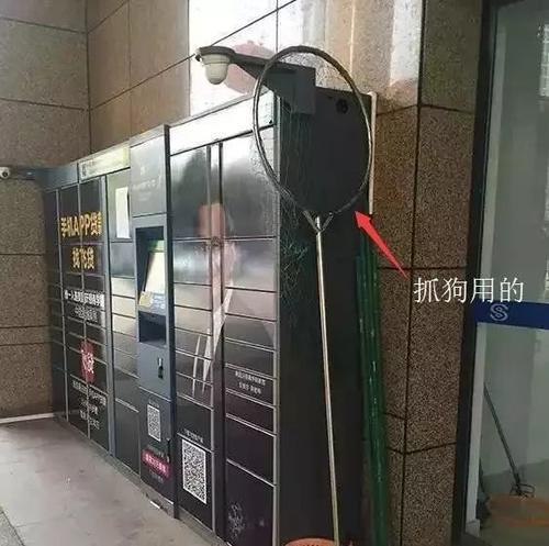 国家关于小区养狗规定