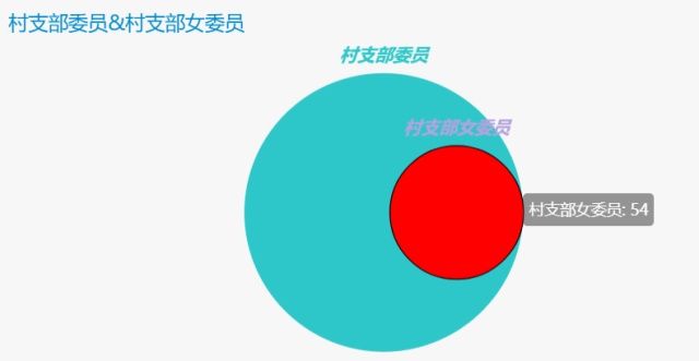 留坝县村党支部换届女书记比例位列全市第一