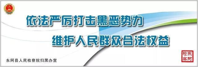 东阿县检察院组织参加全省检察机关扫黑除恶专
