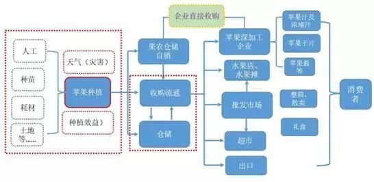 苹果期货离果农有多远？