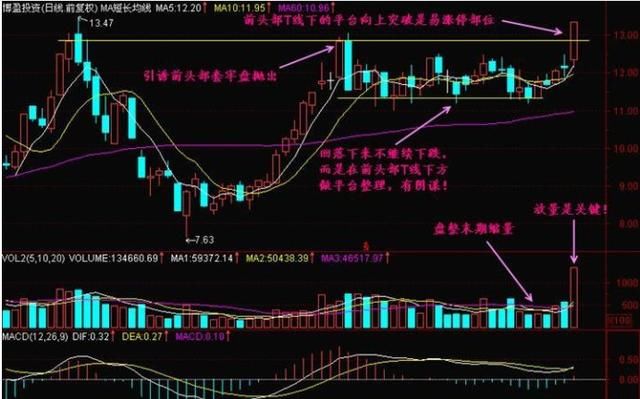 中国股市永远赚钱的一类人，唯有此文说的一清二楚，值得收藏！