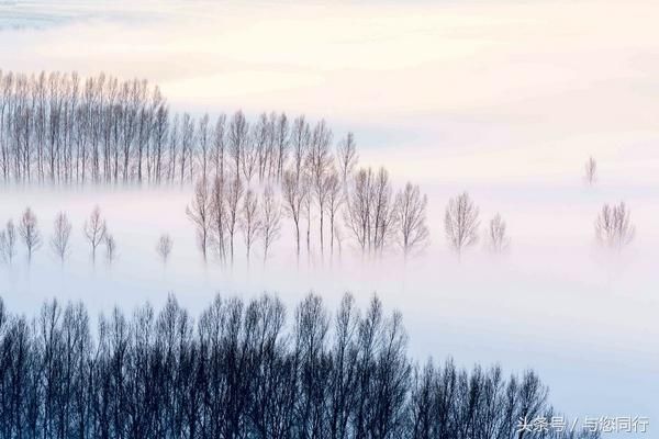 大美新疆 锦绣昭苏