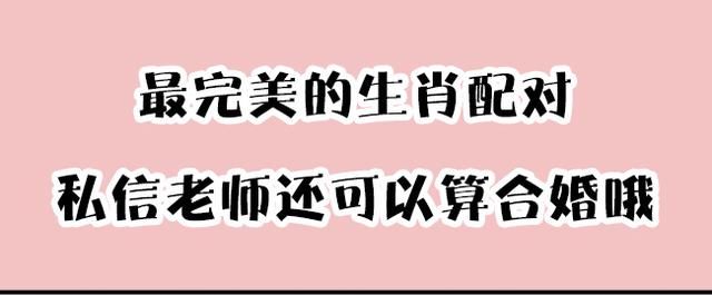 最完美的生肖配对，你有这种福气吗？生肖猪真的有