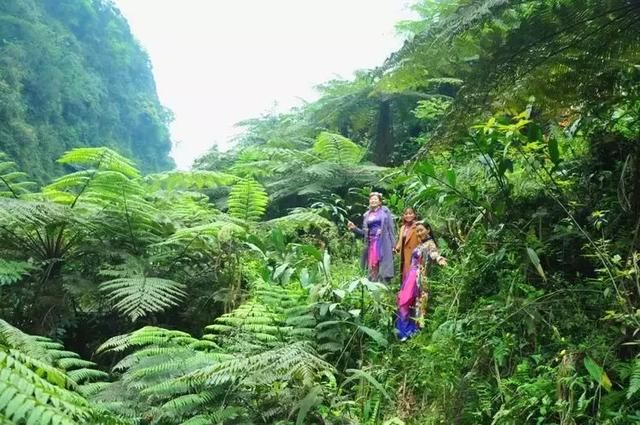 比都江堰还牛！成都南边这个小城，美景美食冷门到极致，1.5h到！