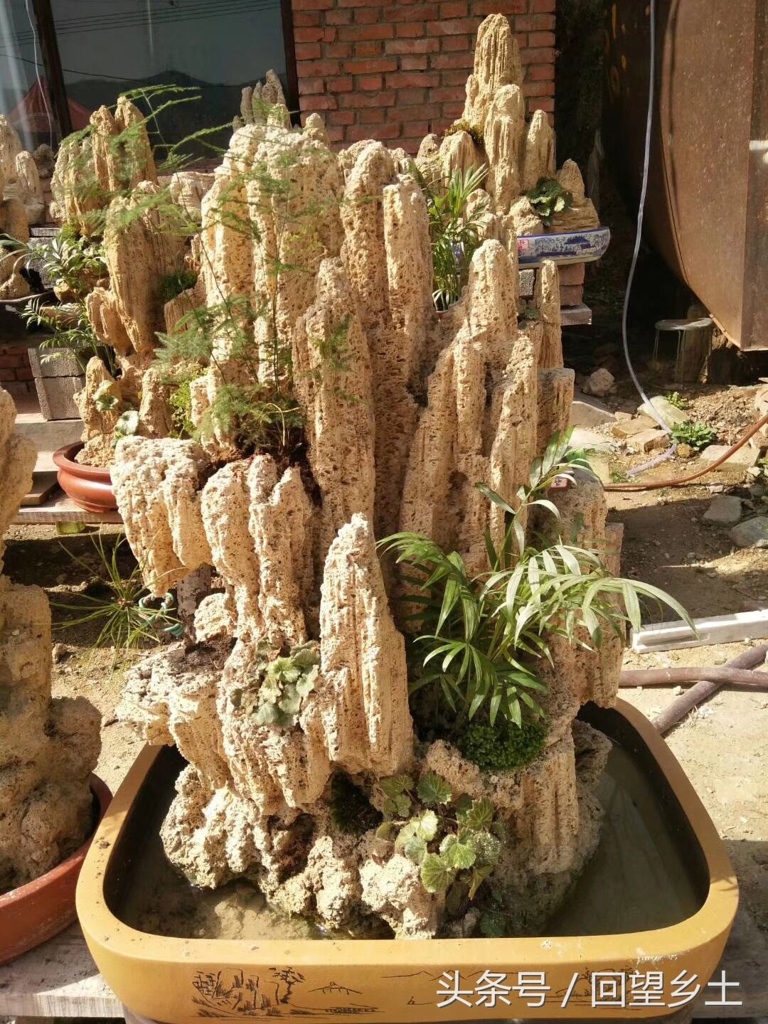 豫西卢氏山区有种石头叫上水石稍加雕琢就是一件盆景作品喜欢吗?