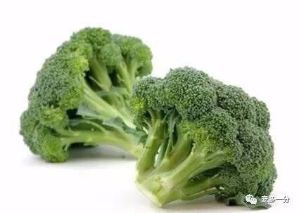 狗狗吃这些蔬菜有好处!