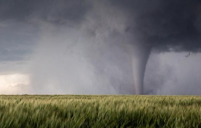 河南虞城遭龙卷风袭击?那只是尘卷风,它们有啥