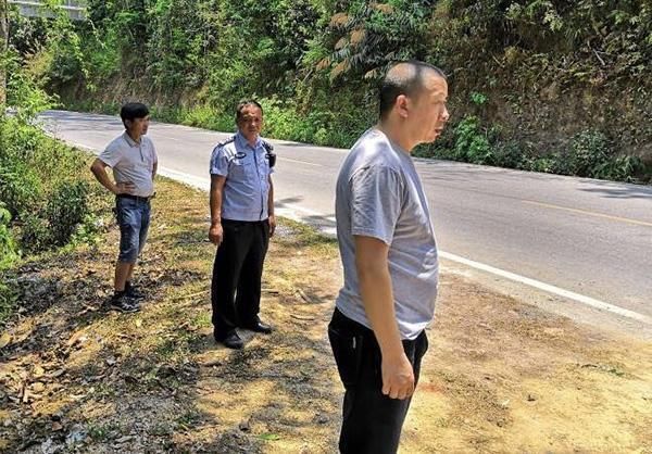 女游客在西双版纳,半路停车上厕所遭野象攻击