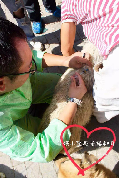 9.8疫苗日圆满成功!感谢所有义工辛苦付出!