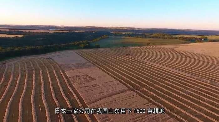 中国山东一夜之间大面积消失一种生物 真相曝光后俄罗斯却尴尬了