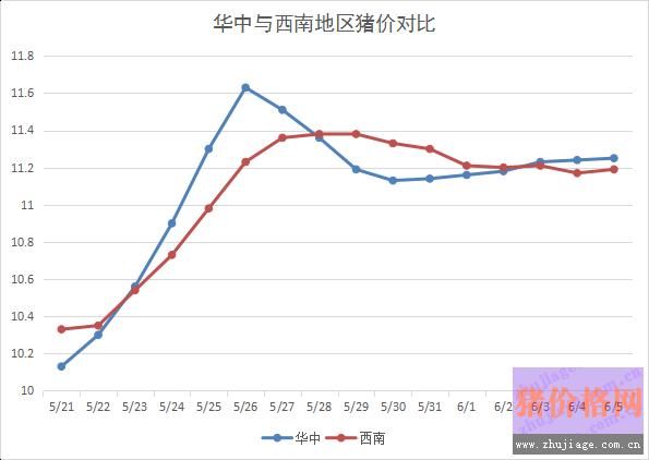 猪价行情小幅回升，各地猪价走势稳中向好