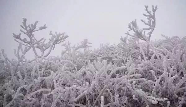 这是贵州最全的冰雪景观！美得有点猝不及防……