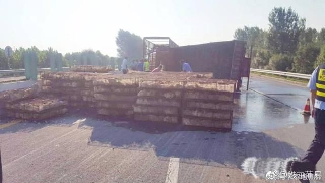 一辆豫J牌照的大货车在南林高速上侧翻,还压死