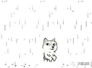 冷空气、雨雾、回南天？未来日子哪种天气在肇庆独领风骚？