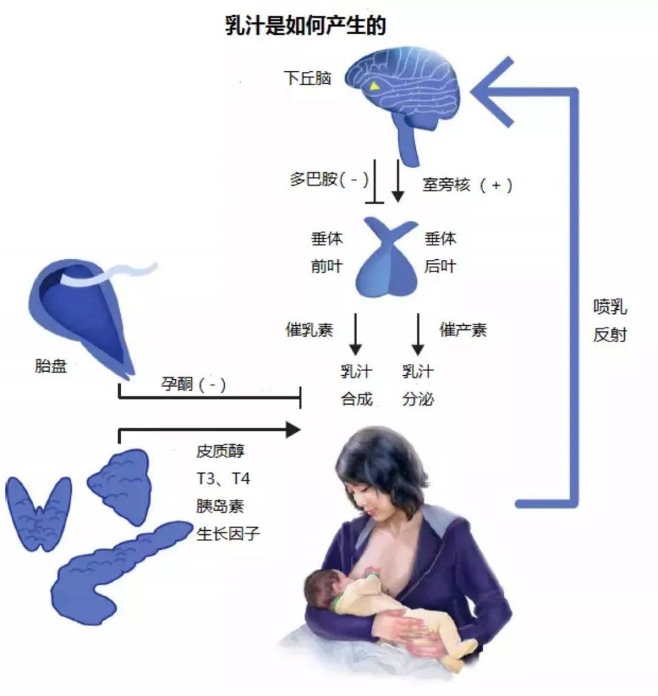 【健康】让生活远离“胸”险……中西医乳腺专家谈保养要点!