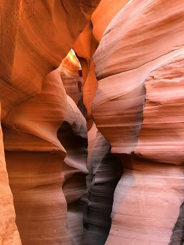 美国西部之行亚利桑那州