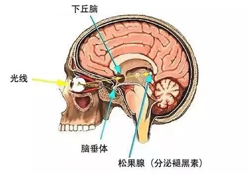 老美真闲！这小台灯竟让哈佛研究3年，美国宇航员都在用