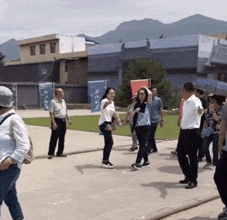 成龙带老婆下乡扶贫贴心照顾,66岁林凤娇漂亮优雅走路还蹦蹦跳跳