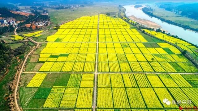 江西小众油菜花观赏地推荐 避开人海独享花海
