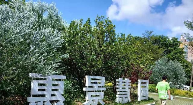 共有产权房首付