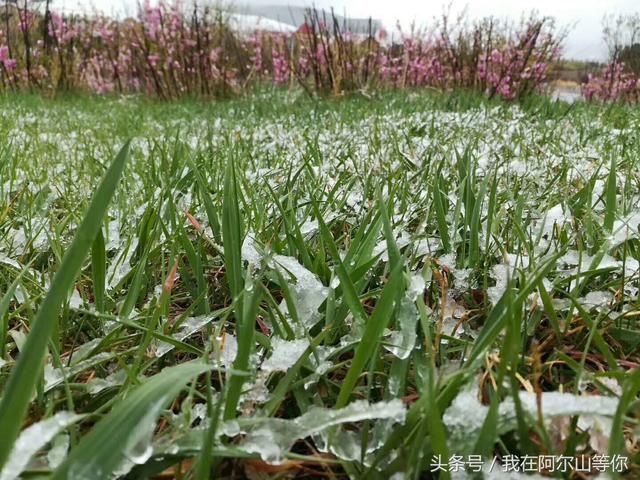 快到6月份了,但祖国边疆这个小城,刚进入夏天