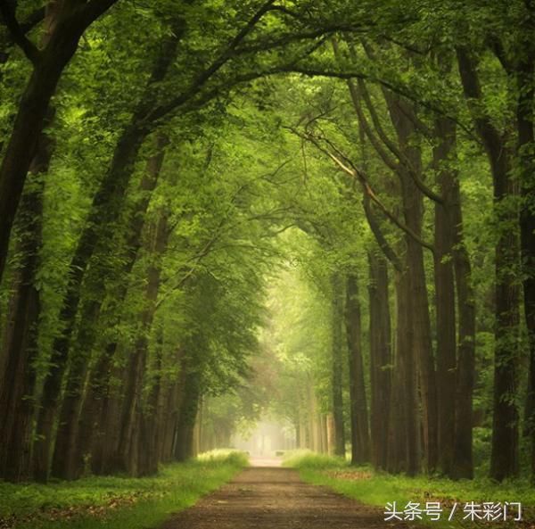 大乐透120期开奖结果:前区3字头断号未出 后区