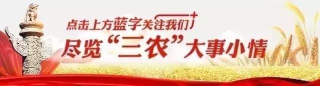 新型经营主体，农业农村部喊你来认证，申补贴、贷款贴息都靠它