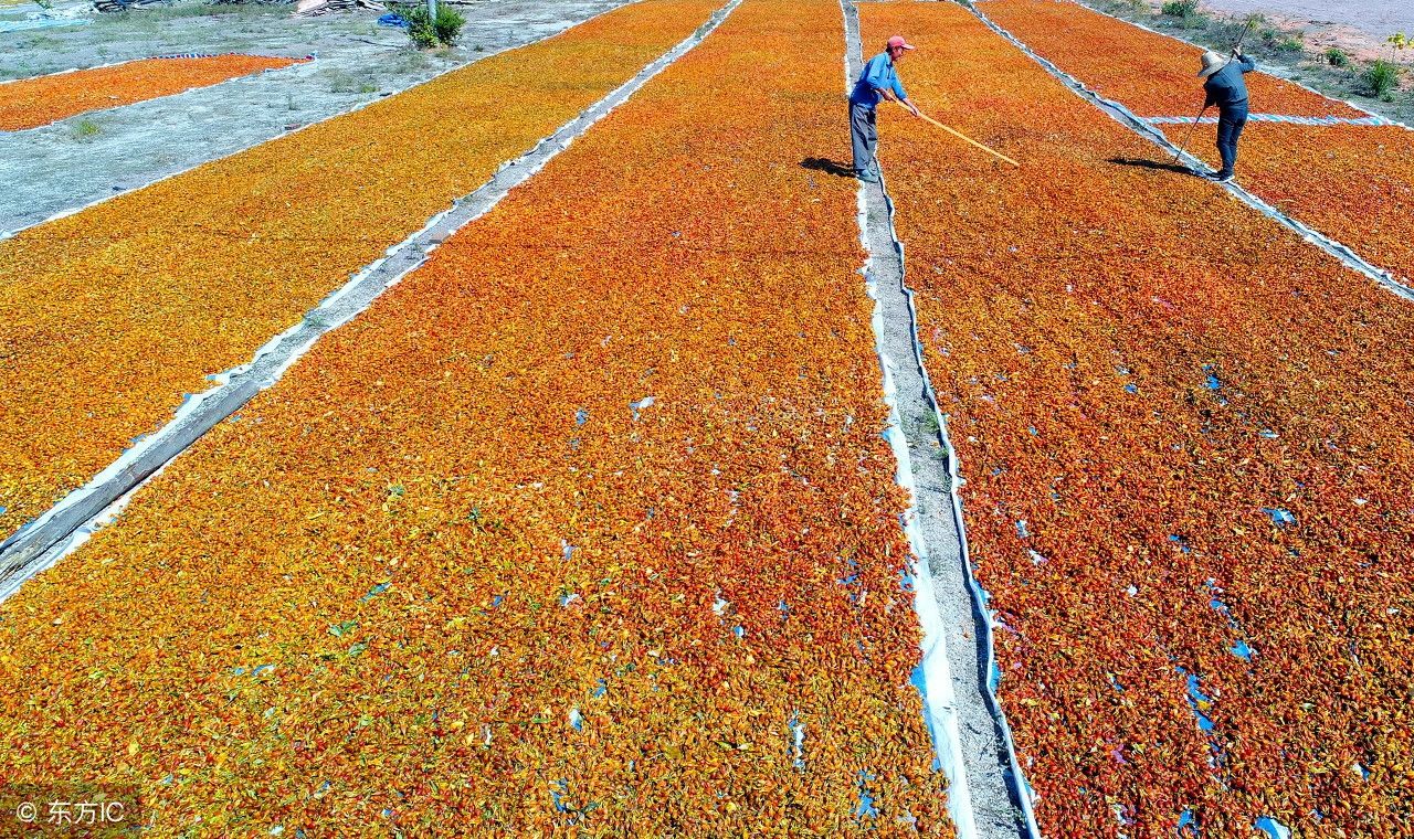 再过3月中国农民有了节日,9张图记录丰收喜悦