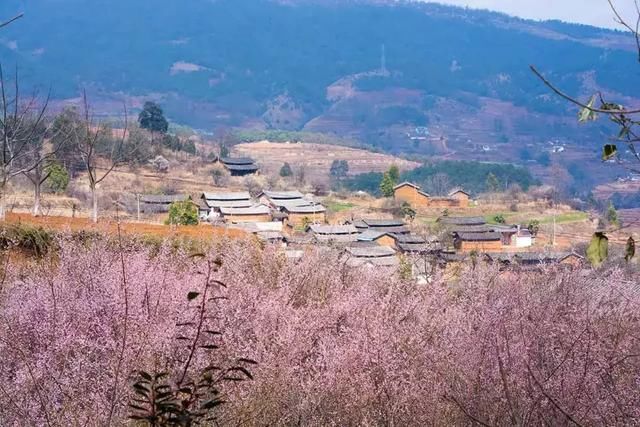 3月，美的不仅是丽江，更是丽江旁边的这座小城！
