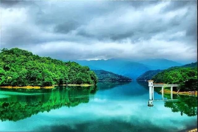 【教素食】这样做的面筋最好吃,你肯定没吃过