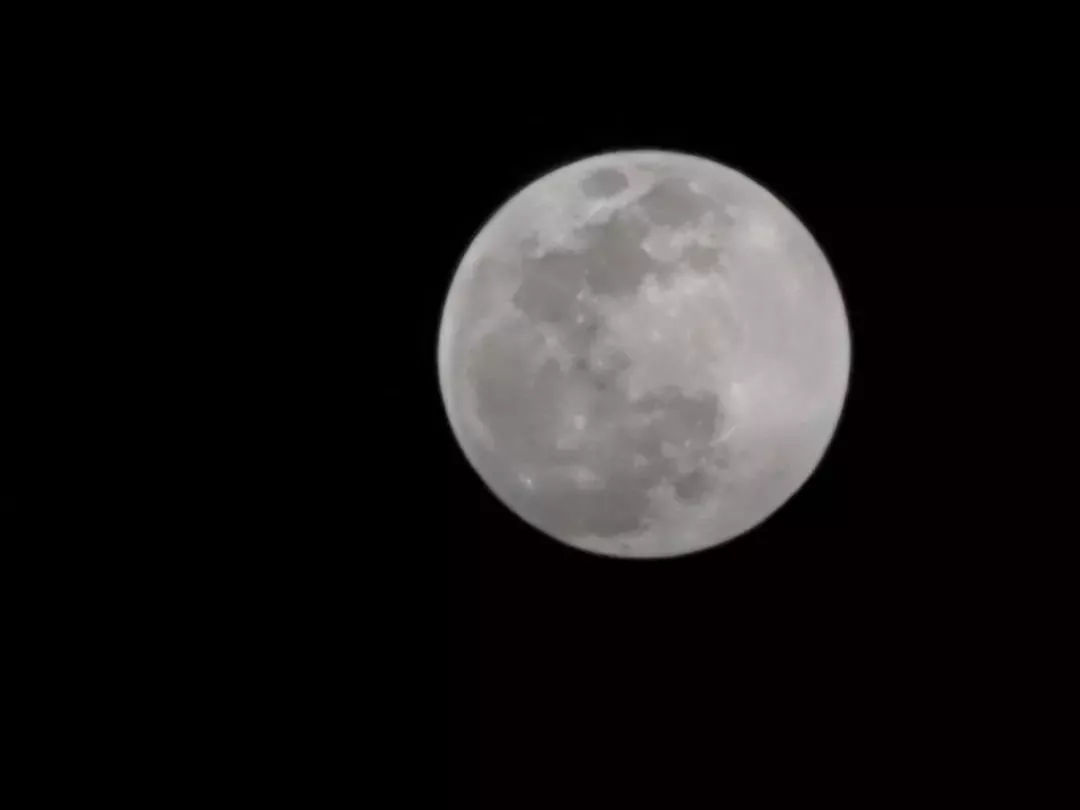 华为 P30 系列发布:最强拍照手机,夜间样张吊打