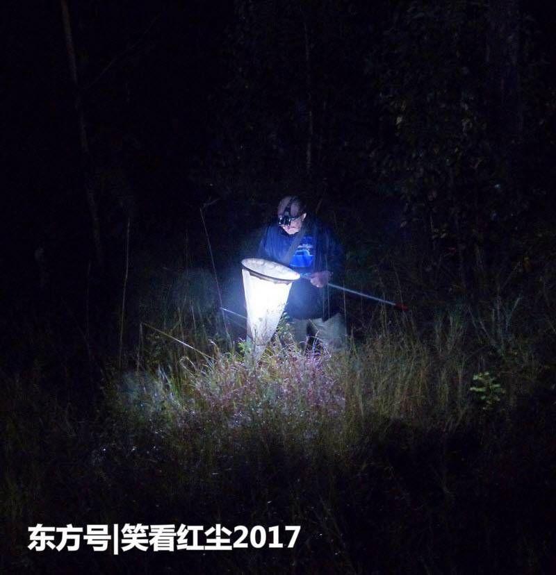 来自澳大利亚的有趣照片 来自澳洲的那些趣事，袋鼠乱穿马路，蛇