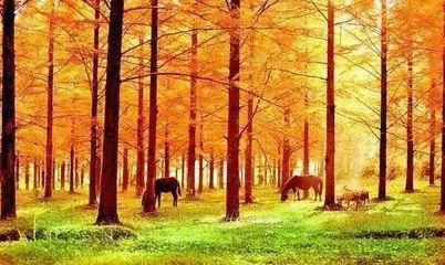 中国湖北居然隐藏了一个旷世仙境 让外国人都为它折服