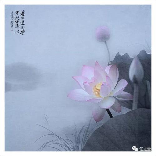 给自己一个活下去的理由!