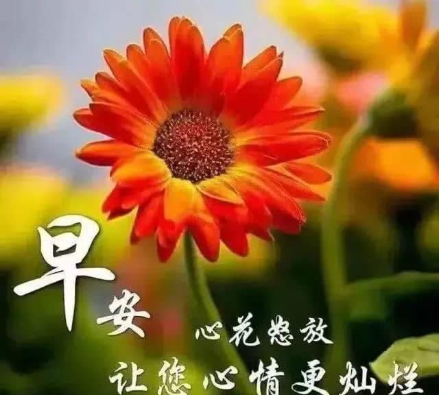 我早上的正能量