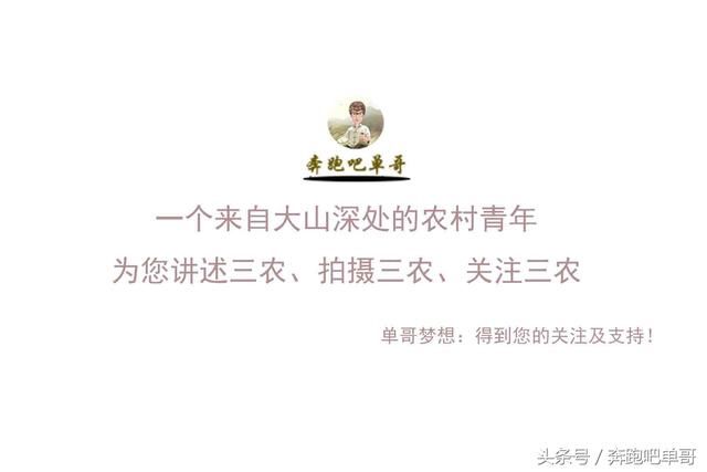 姨妈家搬城里三十年，突然回农村盖房，为何？很多人不解你知道吗