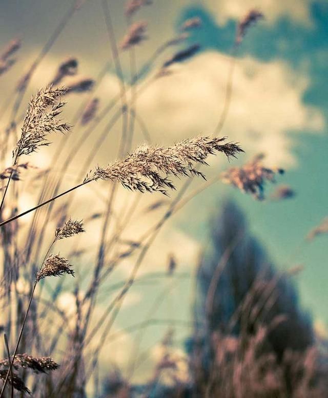 忘不掉一个人，最是煎熬