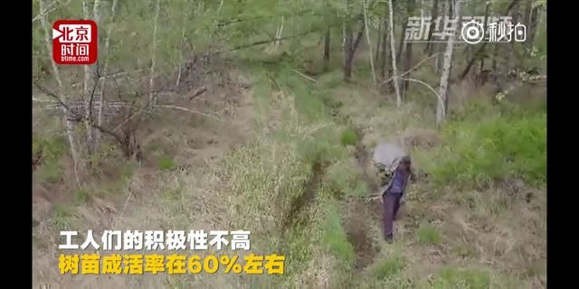 黑龙江老人坚持种树20年，种植上百万棵树，成就大森林