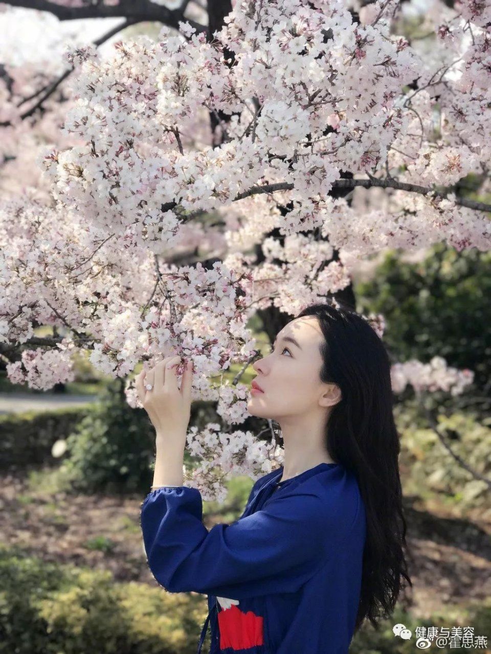 杨幂陈伟霆去日本赏樱花,踏青照原来要这么拍