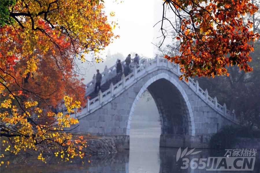 2018年母亲节合肥周边免费旅游景点推荐 适合5月游玩的八大景点推