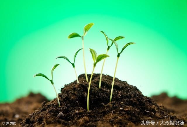 10句职场箴言送给即将开工的你,愿各位2018年职场春风得意马蹄疾