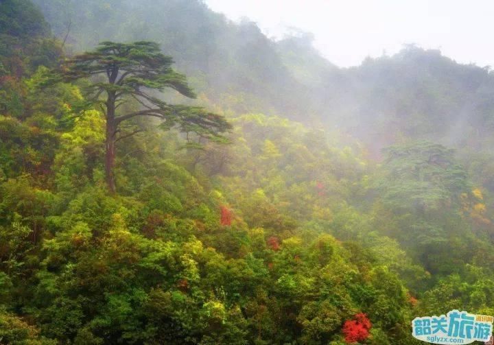 赞!涤荡身心、融入自然的好去处!山高水清树美，就藏在韶关!