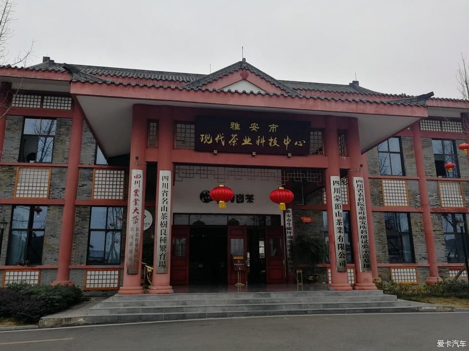 参观牛碾坪万亩观光茶