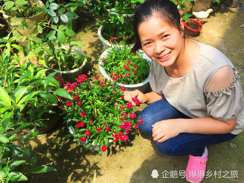 农村若是有个小花坛，不妨种下这种花，能让邻居刮目相看