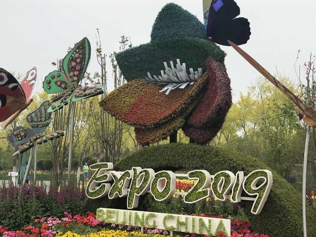 用绿色装点美丽家园:2019北京世园会首场新闻
