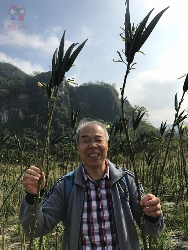 别再只盯着三亚了！海南还有随便捡鱼的海滩和野果满树的古村！