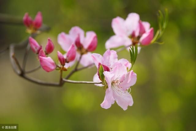 遇到蛮不讲理的人,除了沉默,再教你几招,足以让