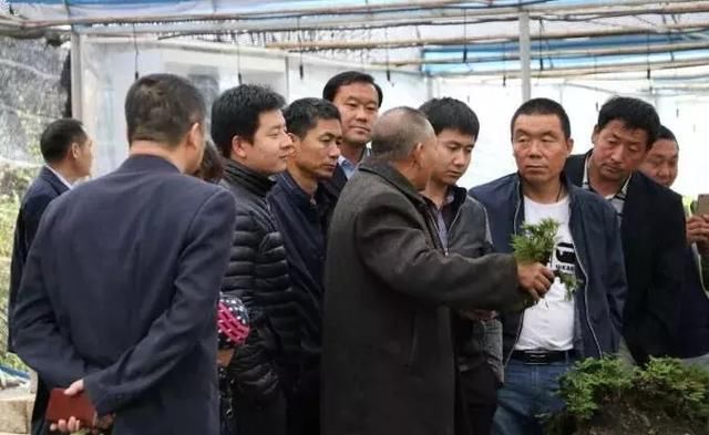 农业部明确了今年在农业经营领域要干的26件事